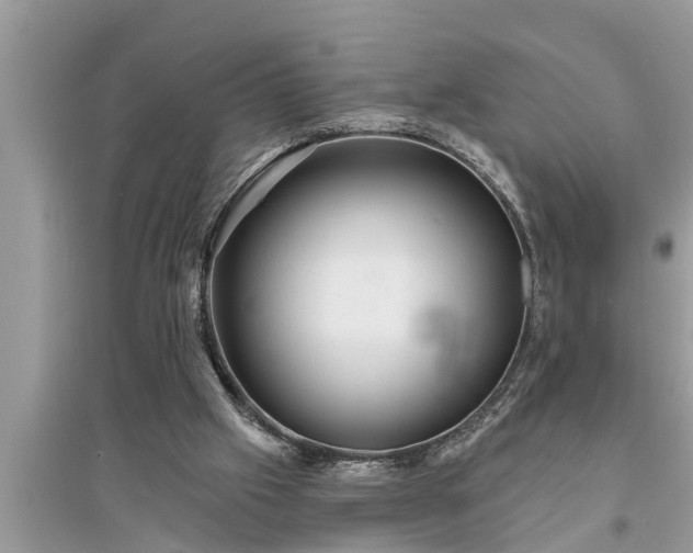 X0000095530057200712211335