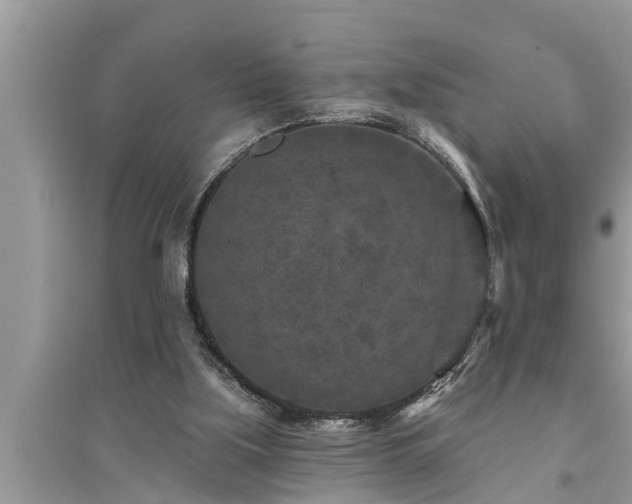 X0000095530059200712211335