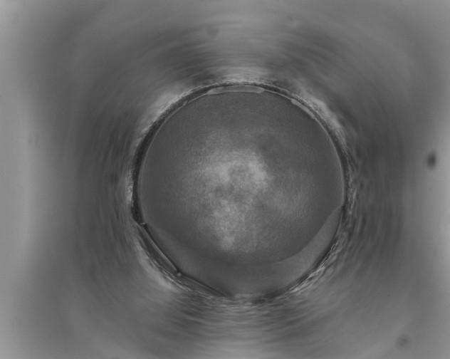 X0000095530060200712211335