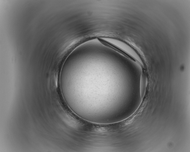 X0000095530062200712211335
