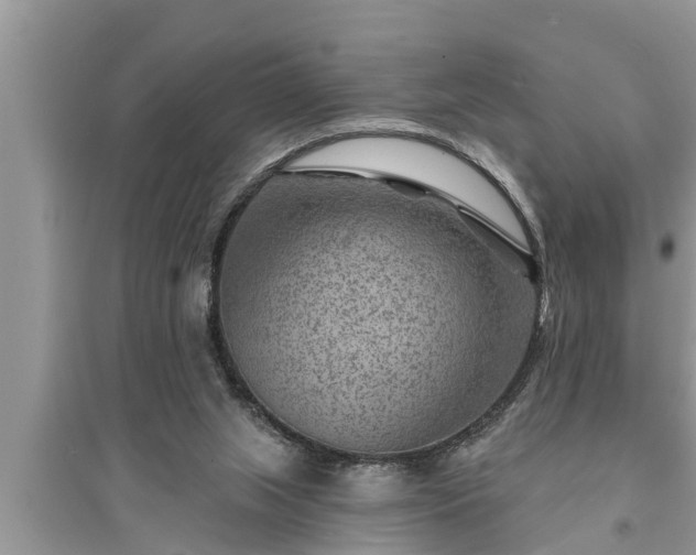 X0000095530063200712211335