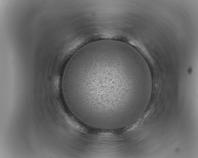 X0000095530066200712211335