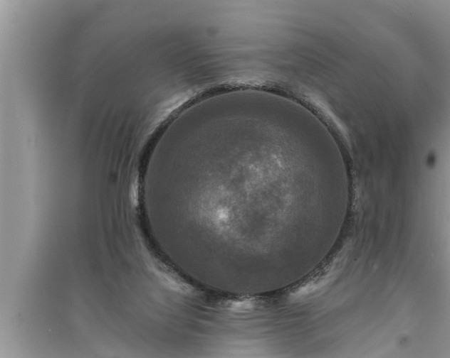 X0000095530068200712211335