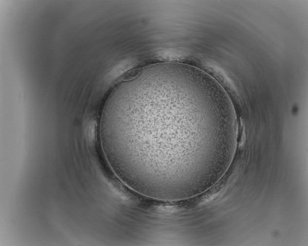 X0000095530071200712211335