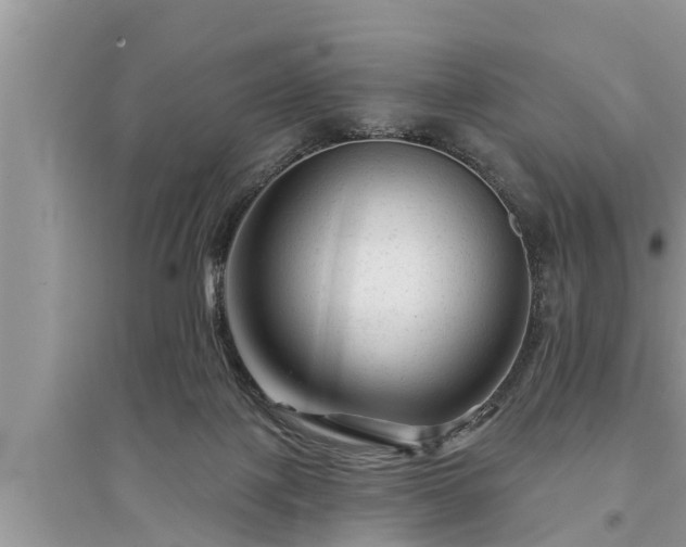 X0000095530075200712211335