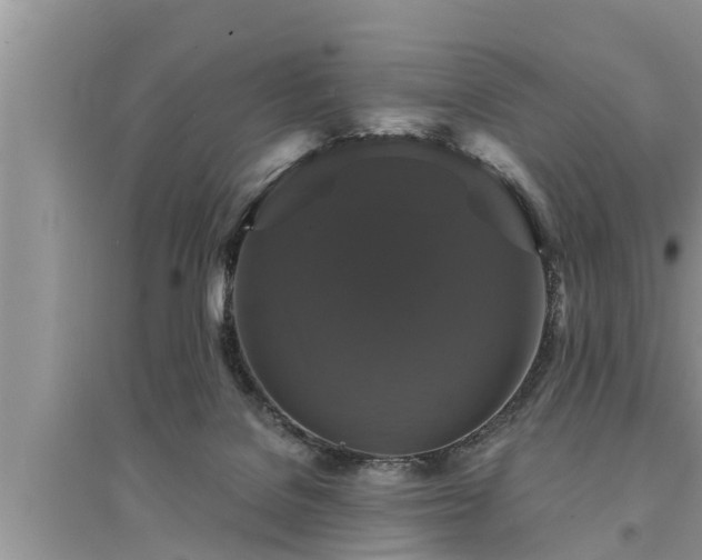 X0000095530076200712211335