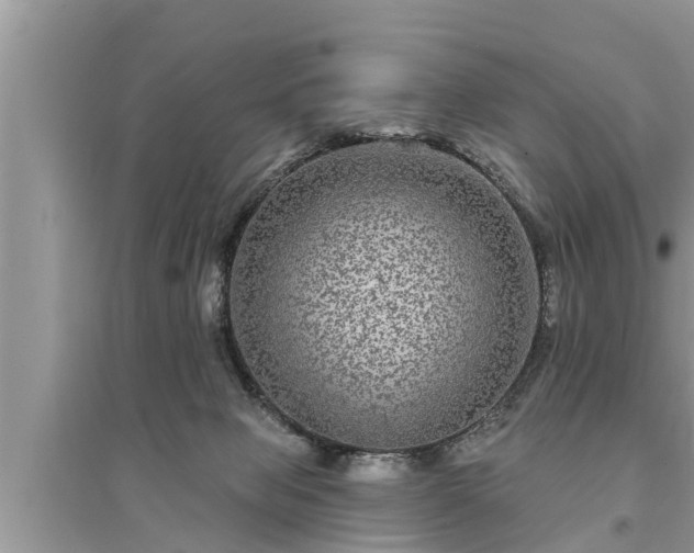 X0000095530077200712211335