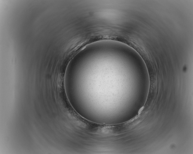 X0000095530078200712211335