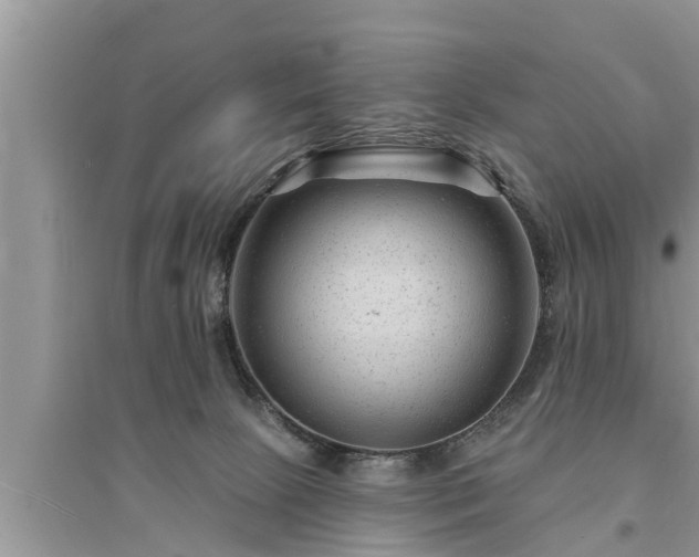 X0000095530081200712211335