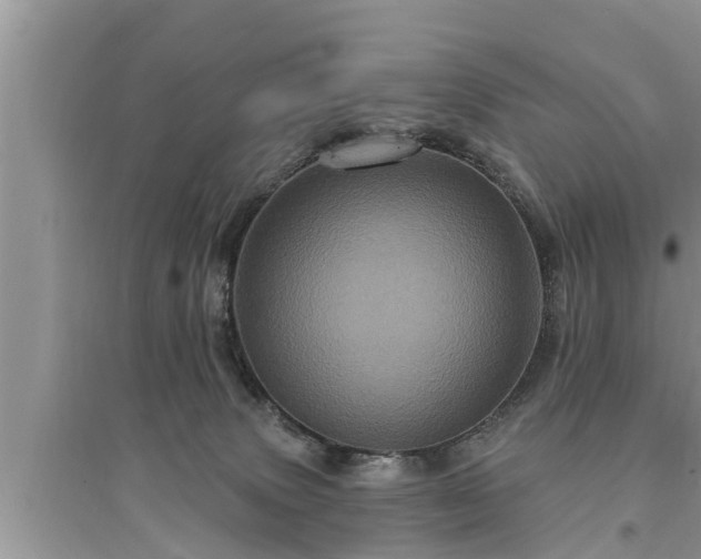 X0000095530083200712211335