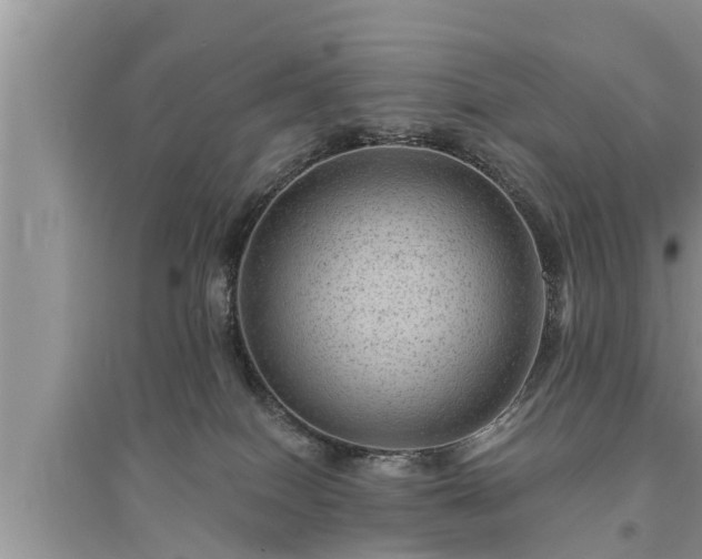 X0000095530086200712211335