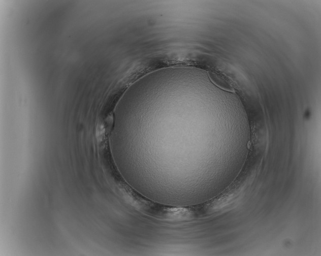 X0000095530087200712211335