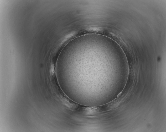 X0000095530089200712211335