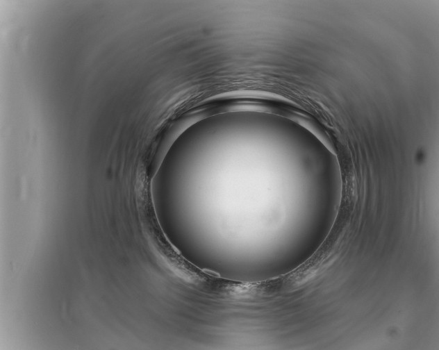 X0000095530092200712211335