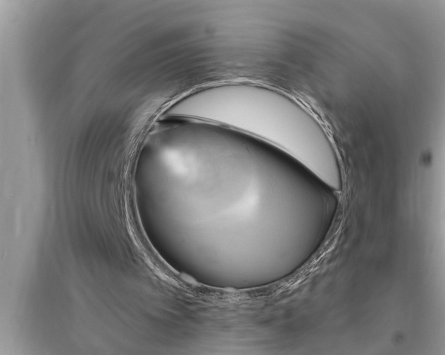 X0000095530097200712211334