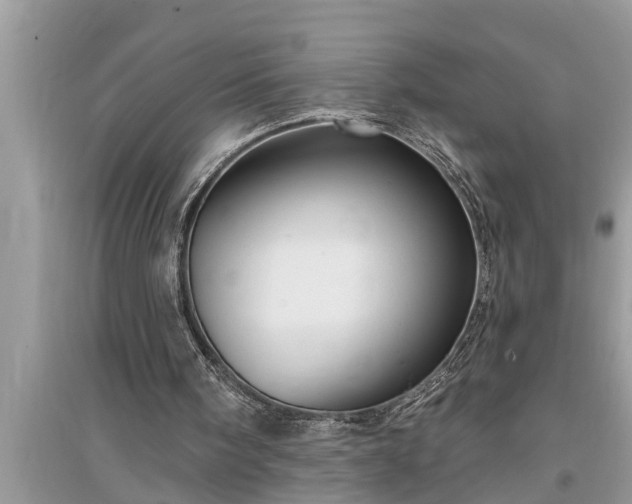 X0000095530098200712211334