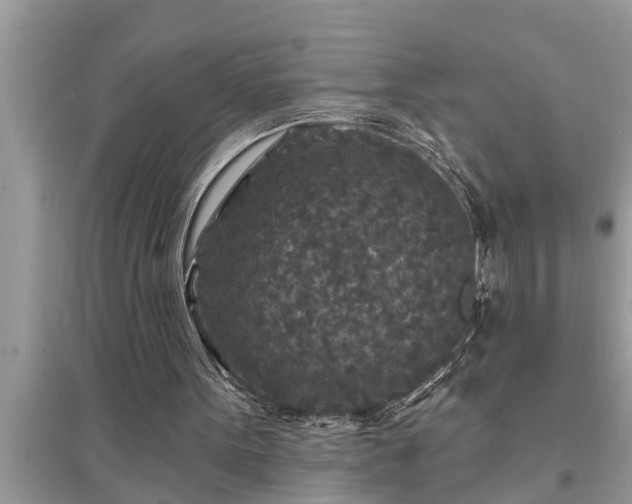 X0000095530099200712211334
