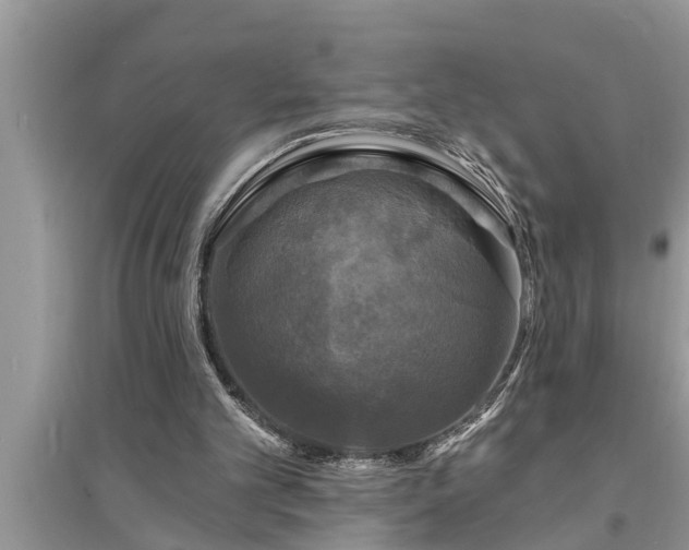 X0000095530101200712211334