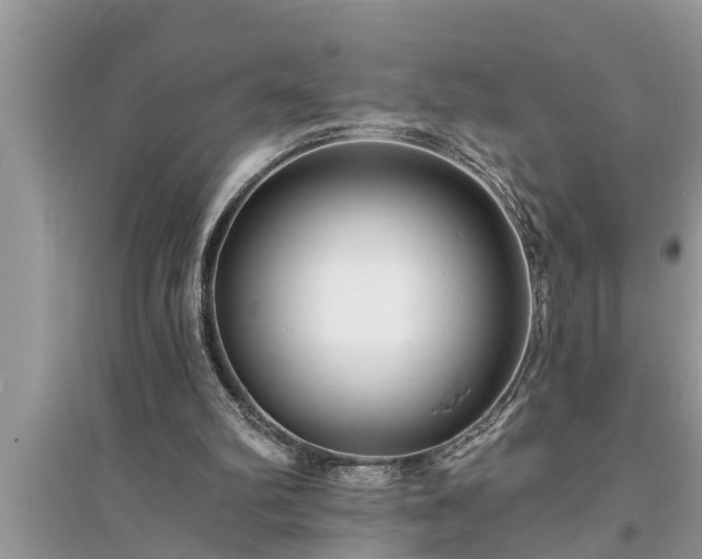 X0000095530102200712211334