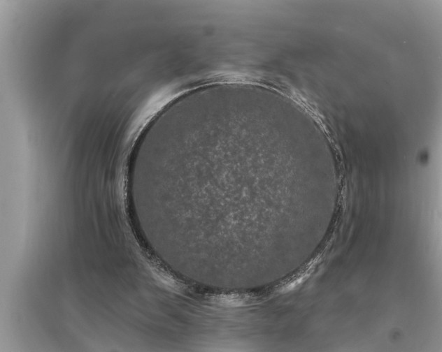 X0000095530103200712211334