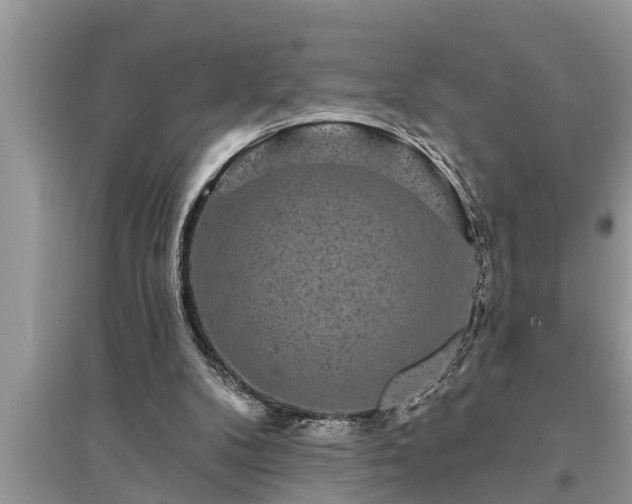 X0000095530104200712211334