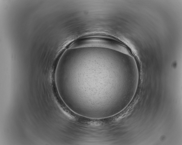 X0000095530105200712211334