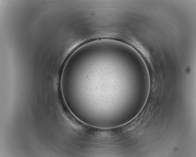 X0000095530107200712211334