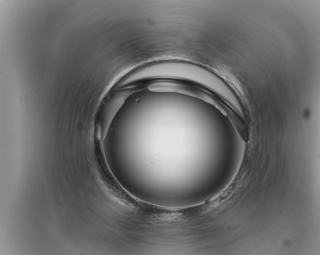 X0000095530108200712211334