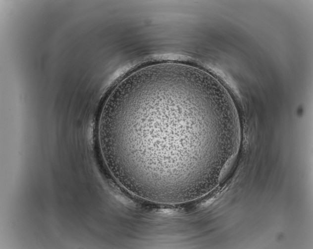 X0000095530111200712211334