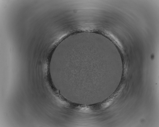 X0000095530113200712211334