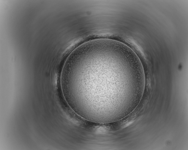 X0000095530115200712211334