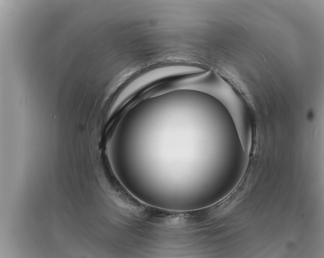 X0000095530116200712211334