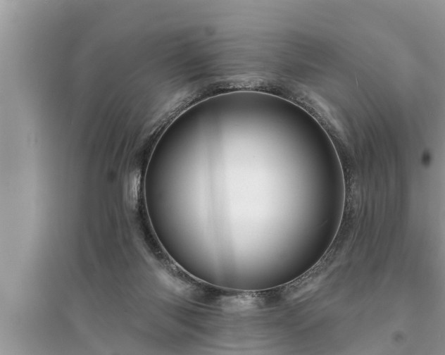 X0000095530118200712211334