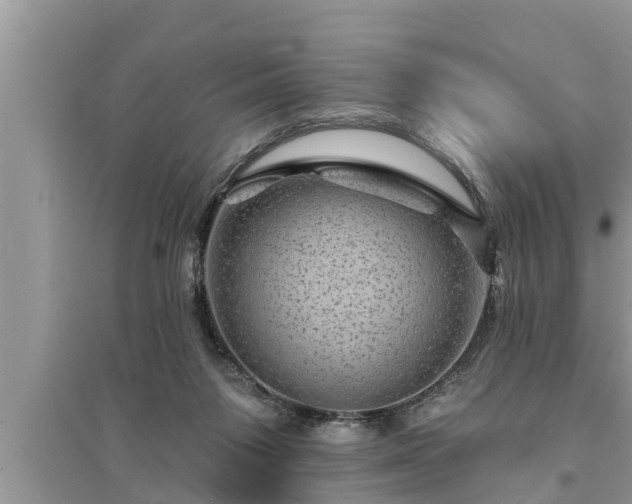 X0000095530119200712211334
