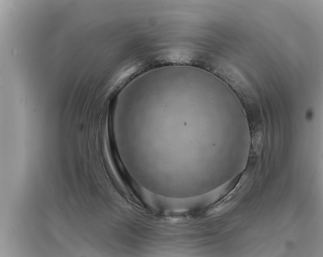 X0000095530120200712211334