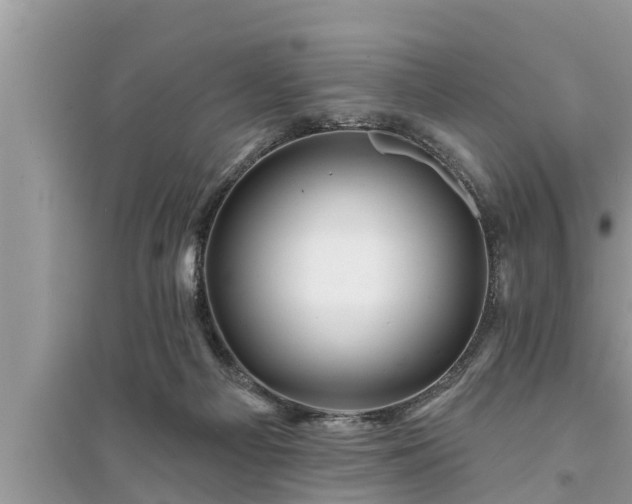 X0000095530121200712211334