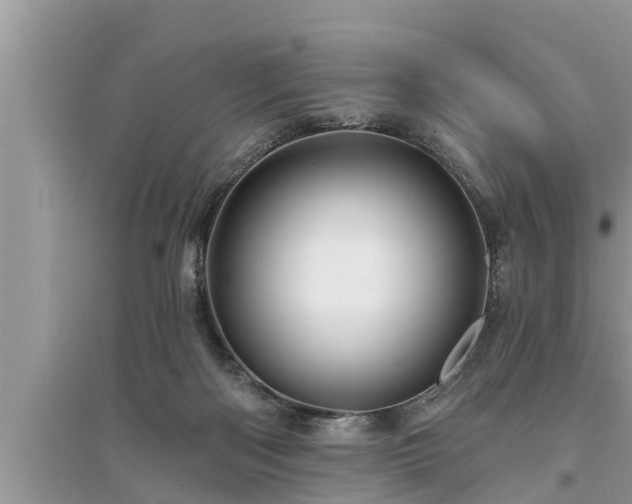 X0000095530122200712211334