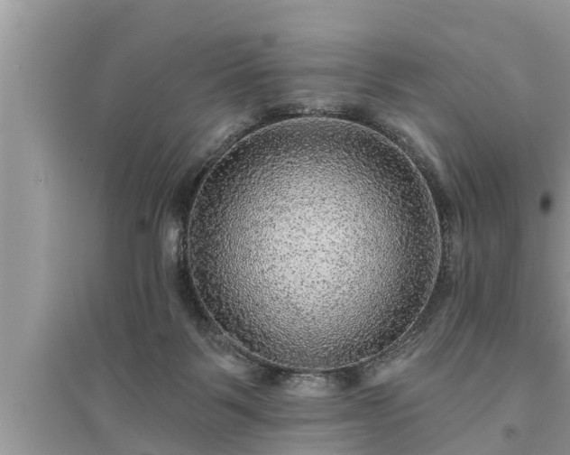X0000095530123200712211334