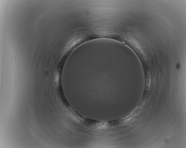 X0000095530124200712211334