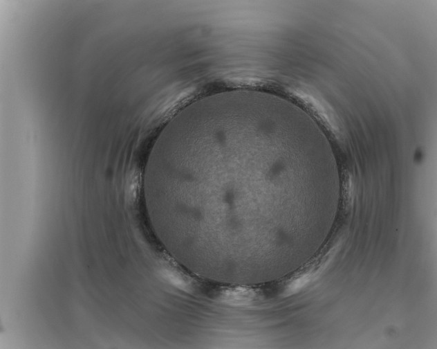 X0000095530125200712211334