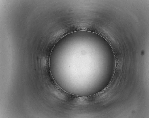 X0000095530126200712211334