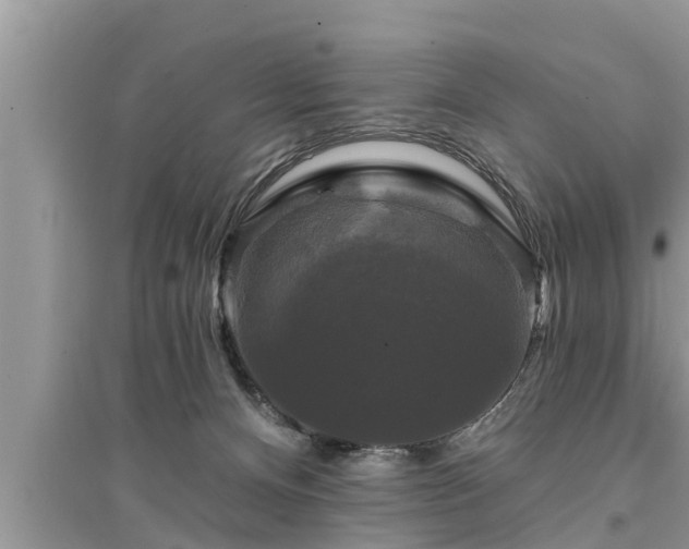X0000095530128200712211334