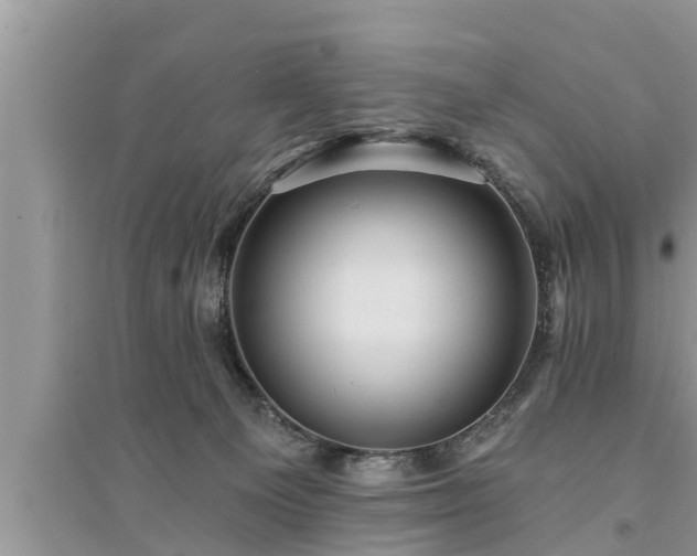 X0000095530129200712211334