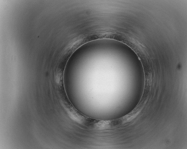 X0000095530138200712211334