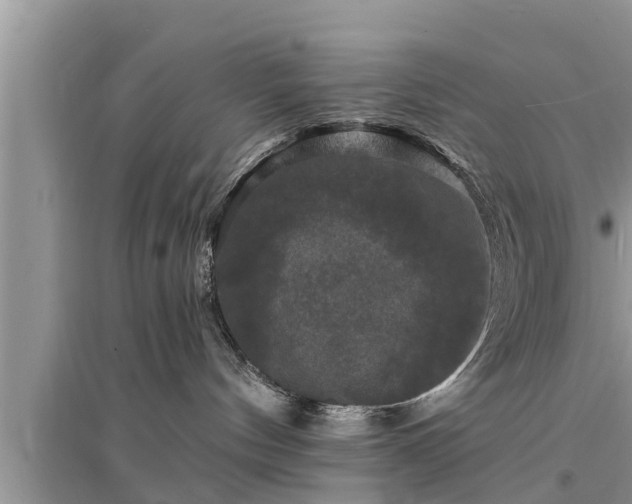 X0000095530144200712211334