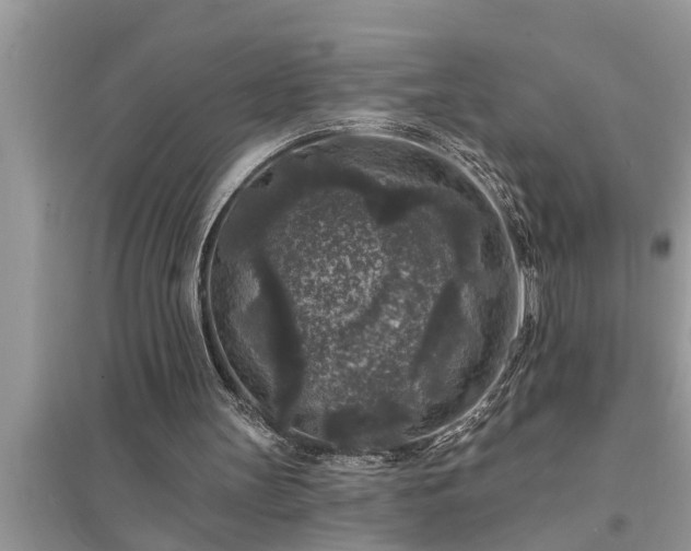 X0000095530147200712211333