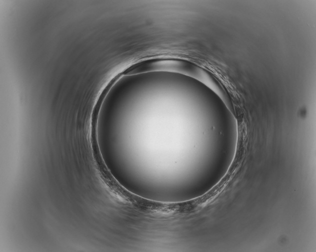 X0000095530148200712211333