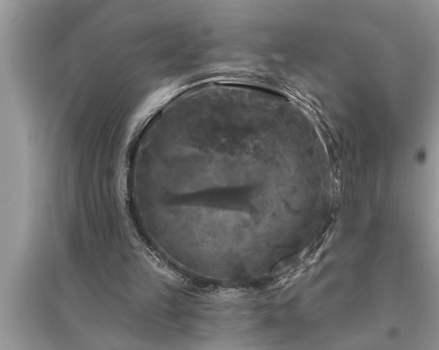 X0000095530149200712211333