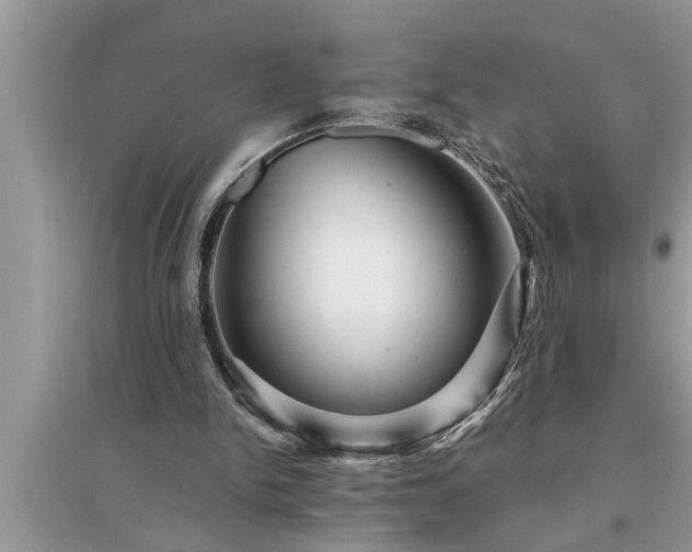 X0000095530150200712211333