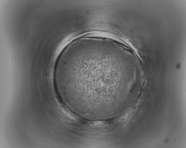 X0000095530151200712211333